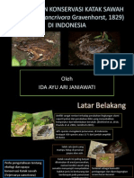 Ekologi dan Konservasi Katak Sawah di Indonesia