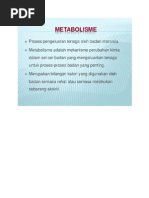 Metabolism A