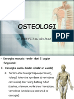 OSTEOLOGI