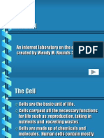 The Cell: An Internet Laboratory On The Cell, Created by Wendy M. Rounds 5/3/00
