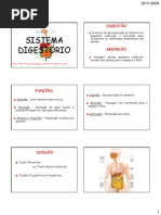 Sistema Digestório