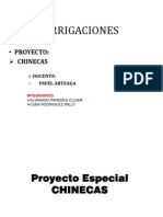 Proyecto Chinecas