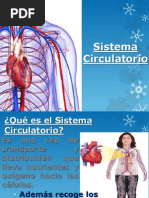Sistema Circulatorio Sexto Básico