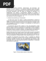 OPA- Relatório final