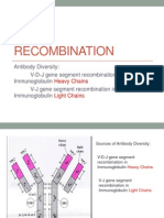 VDJ Recombination With Antibody Structure