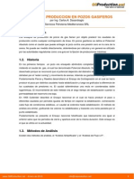 ensayo_pozos_de_gas.pdf
