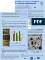 Poster Dieta Def PDF