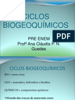 Ciclos  Biogeoquimicos