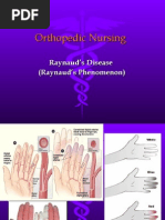 Download Orthopedic Nursing 2 by iancel_0388 SN2191723 doc pdf