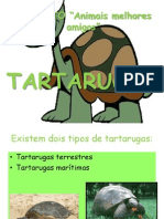 tartarugas3-110401040917-phpapp02 (1)
