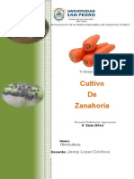 Cultivo de Zanahoria 2014