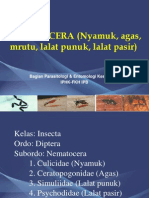Kuliah 2. Nematocera Baru 2012 PDF