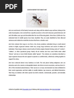Download Contoh Report Text About Ant by Ningsih Sri Lestari SN219204226 doc pdf