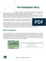 2004 Endophyte Story