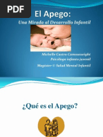 Clase Apego IP Leones