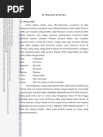 Download BAB II Tinjauan Pustaka Udang by MuhammadAbdullahKamalMuktar SN219209949 doc pdf