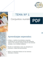 CJTOS. NUMÉRICOS.ppt