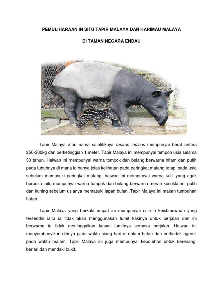 Pemuliharaan In Situ Tapir Pdf