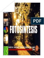 Biologi Fotosintesis