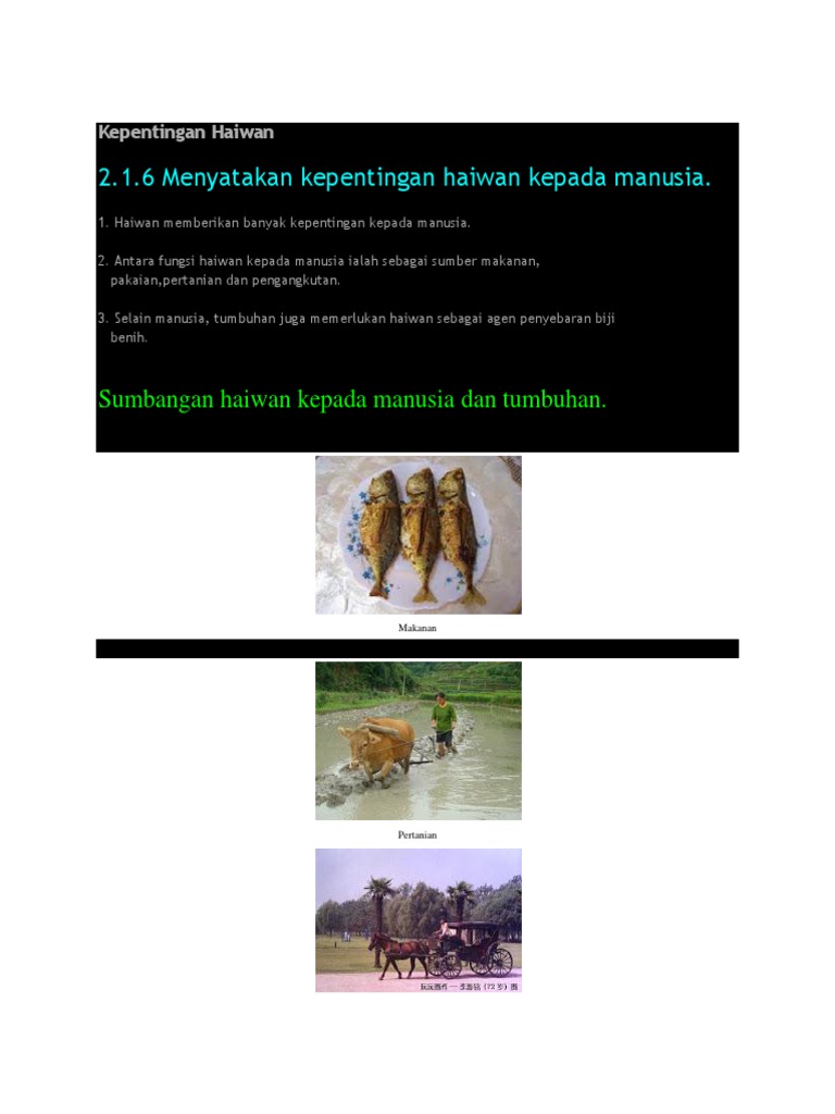 Nota Kepentingan Haiwan Pdf