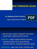 PA 1 - Neoplasma & Jejas