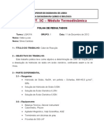 Folha - Resultados Trab3 Calor Na Reacção