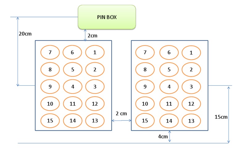 PIN Box Dimensions and Numbers | PDF