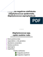 2007 - Staphylococcus - KNS