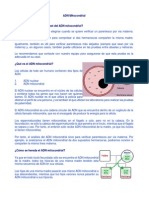 ADN Mitocondrial