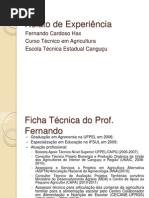 Relato de Experiência