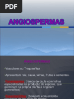 Angiospermas Completo