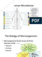 human microbiome presentation