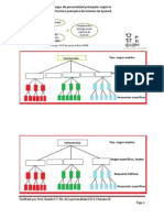 TAXONOMIAS de La Personalidad HOJA de Trabajo (1)