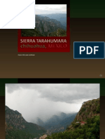 229-Mex - Sierra Tarahumara (CR)