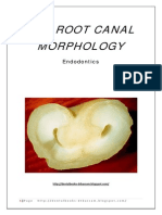 Bassam - The Root Canal Morphology
