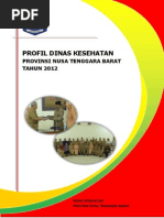 Download Profil Dikes Prov NTB Tahun 20121 by Adul Yasubhanalloh Ahrs SN219310830 doc pdf