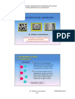 4c Fundamentos de Adsorcion Roberto Leyva