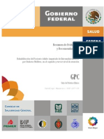 Dif 257 09 Er PDF