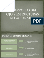 Desarrollo Del Ojo 2