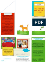 classroom management brochure pdf