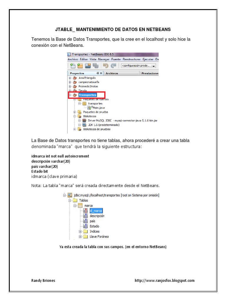 Mantenimiento de Datos en NetBeans | PDF