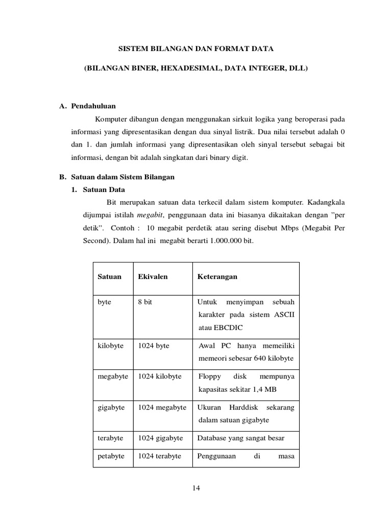 Sistem Bilangan Dan Format Data | PDF