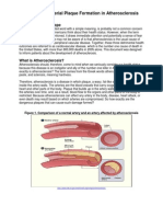 Engl 202c-Final Draft of Definition and Description