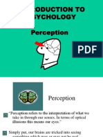 Perception Ppt