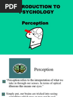 Perception Ppt