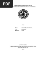 Download Laporan Kimia Fisika - Diagram Terner Sistem Zat Cair Tiga Komponen by Dika Virga Saputra SN219351723 doc pdf