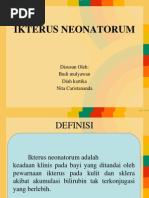 Ikterus Neonatorum PPT Fix