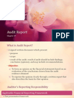 Audit Report chapter 19