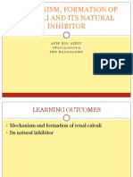 Mechanism, Formation of Calculi and Its Natural