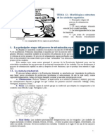 21 Morfología y estructura de las ciudades